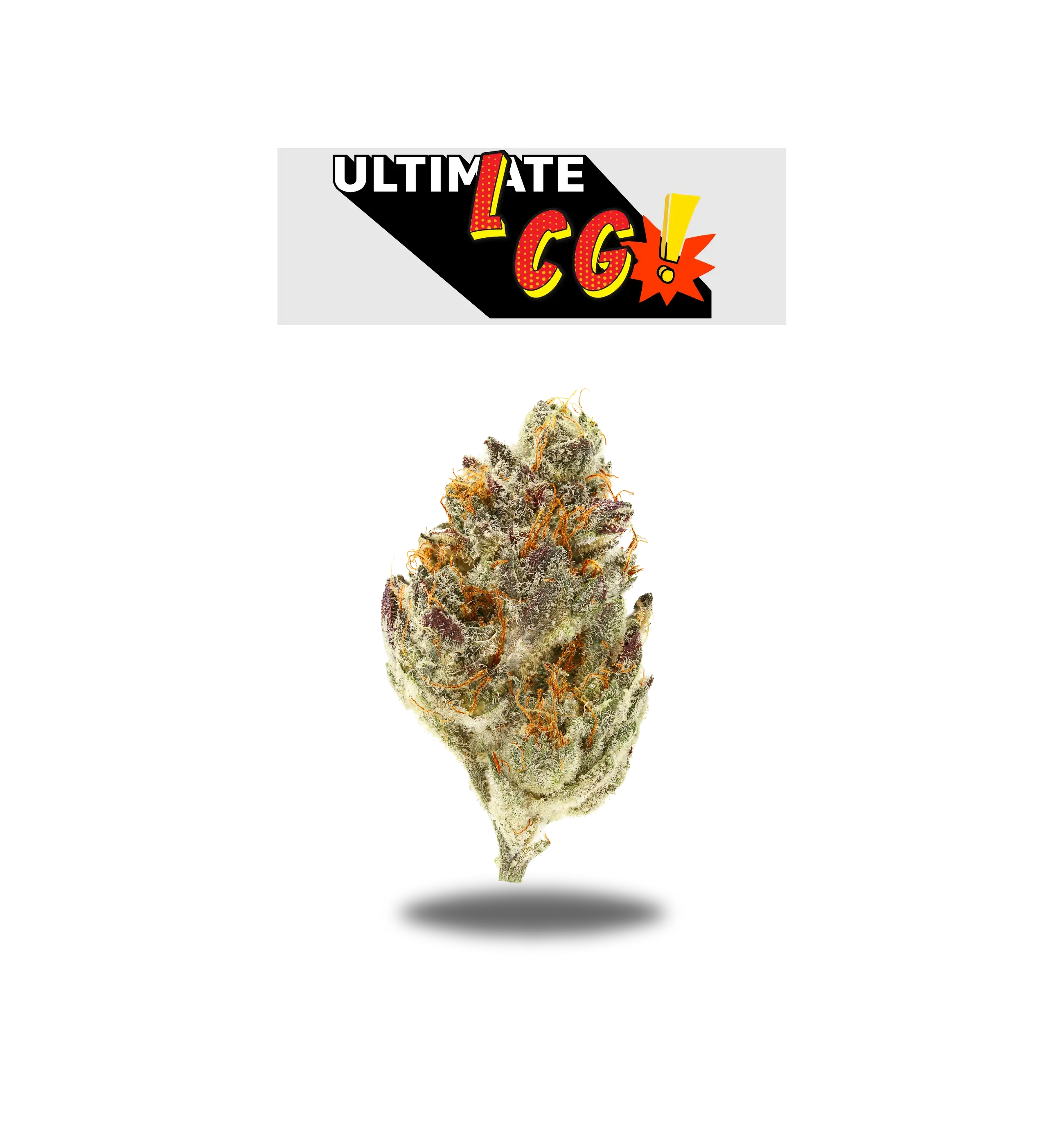 ULTIMATE LCG PREMIUM FLOWER 3.5g - BLACK LABEL SERIES Oakfruitland