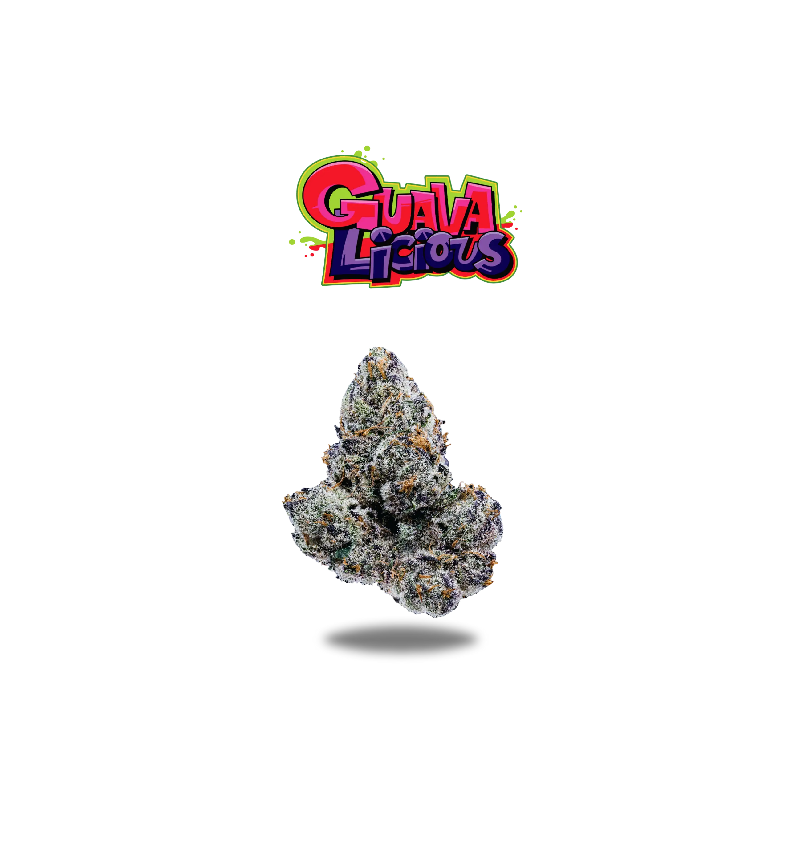 GUAVALICIOUS PREMIUM FLOWER 7g - WHITE LABEL SERIES Oakfruitland