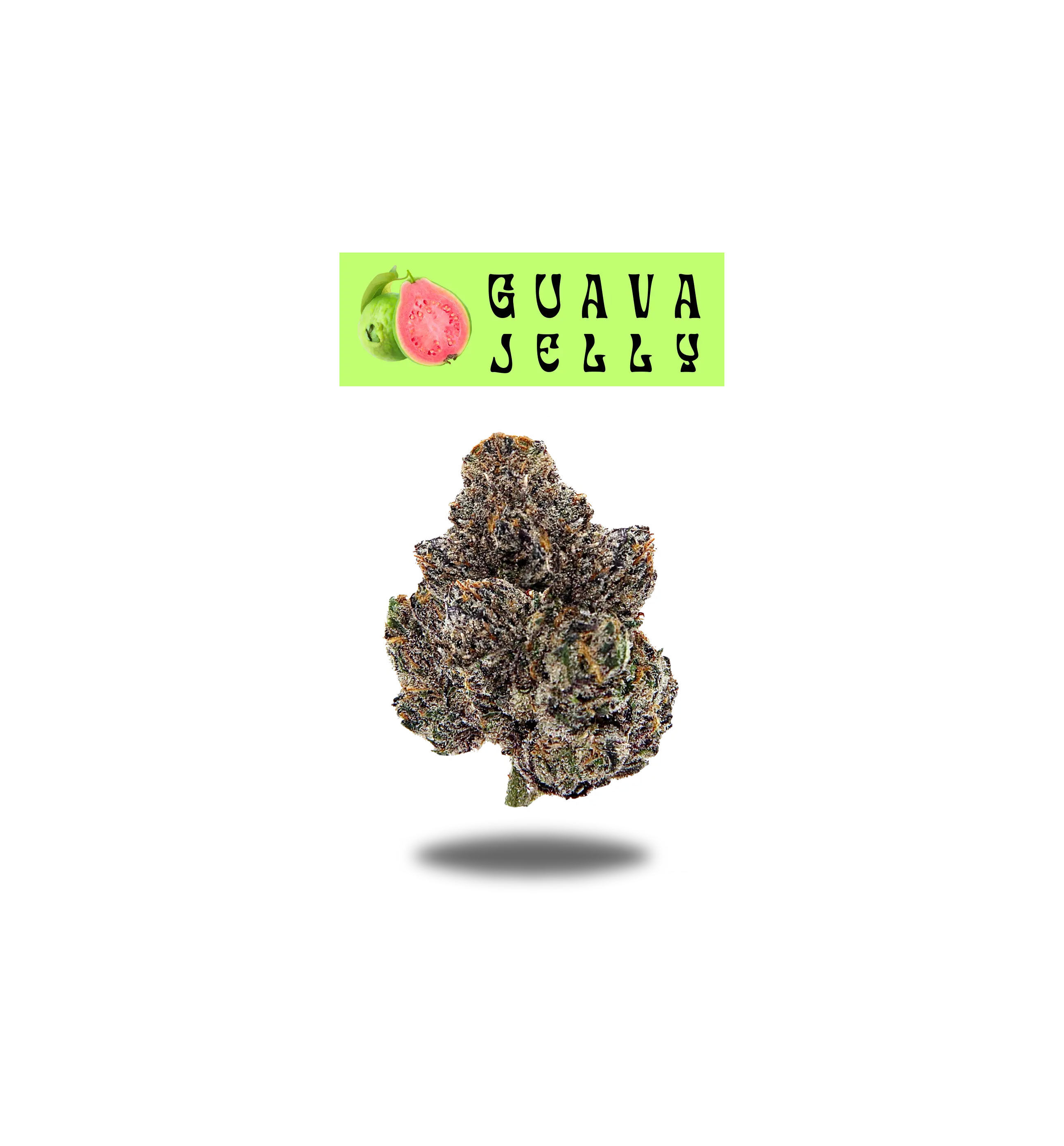 GUAVA JELLY PREMIUM FLOWER 3.5g - BLACK LABEL SERIES Oakfruitland