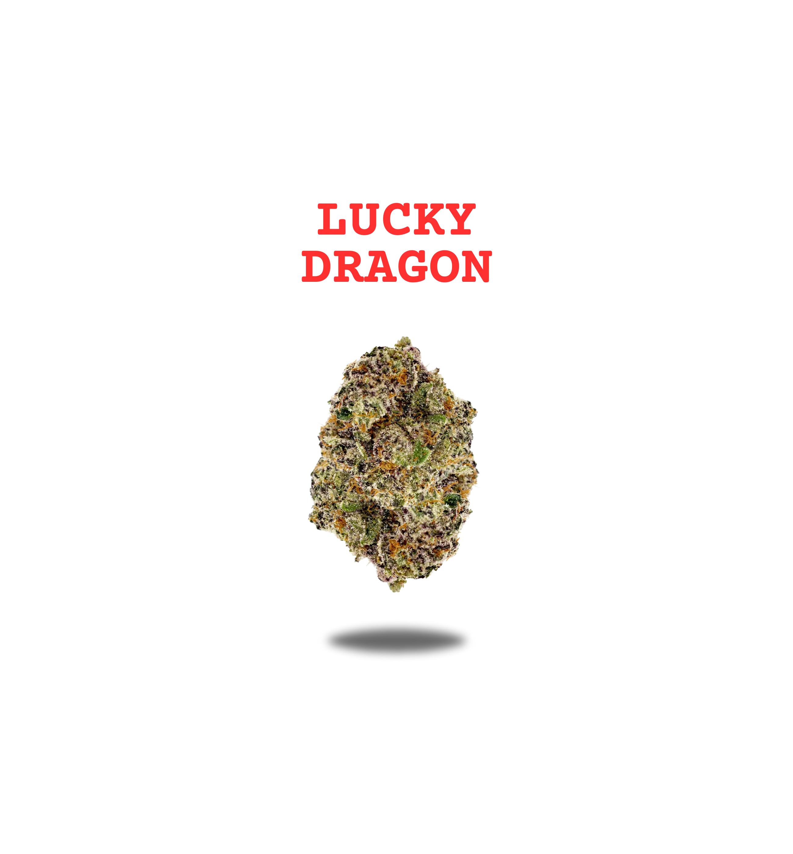 LUCKY DRAGON PREMIUM FLOWER 3.5g - ZODIAC SERIES Oakfruitland
