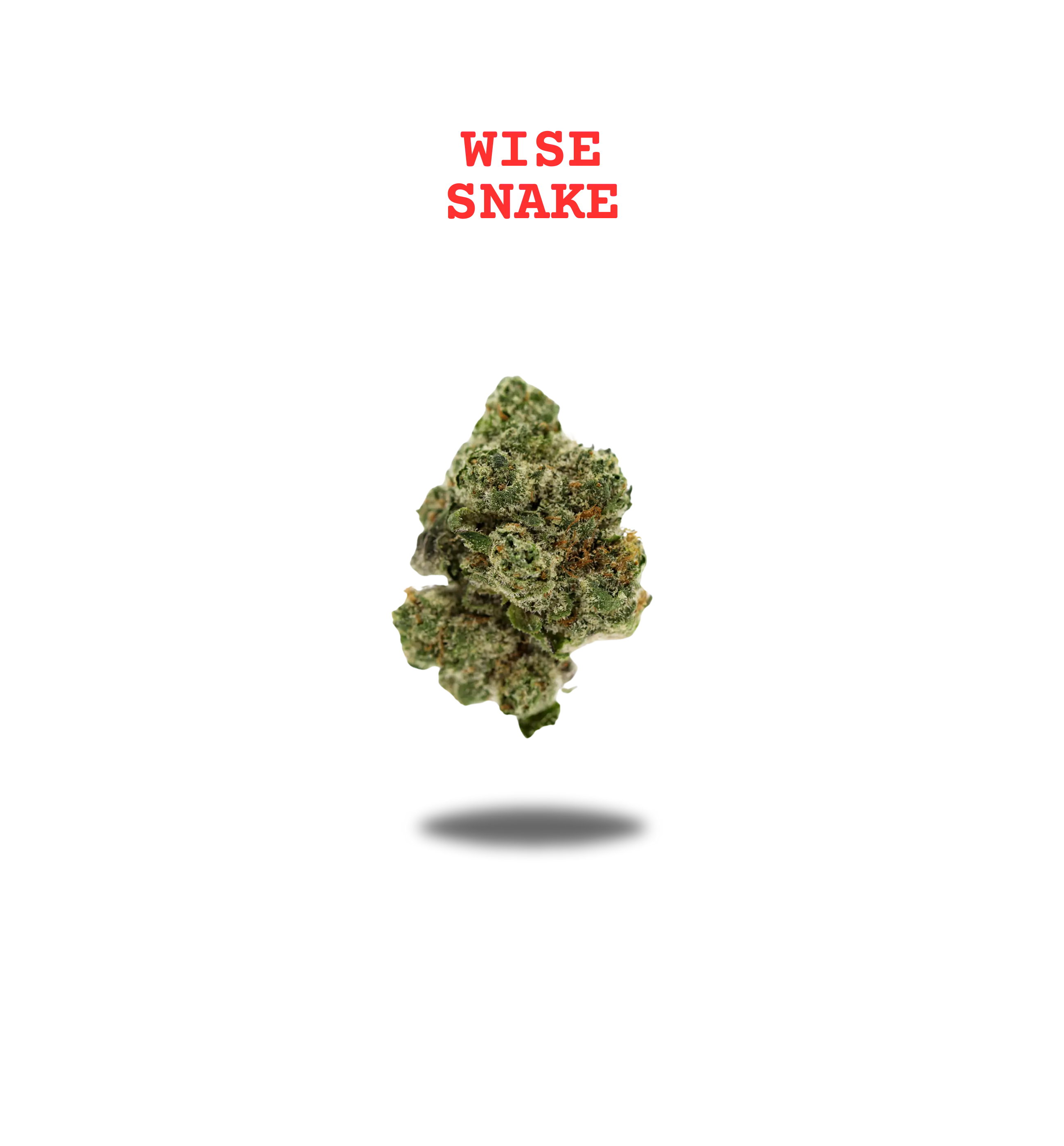 WISE SNAKE PREMIUM FLOWER 3.5g - ZODIAC SERIES Oakfruitland