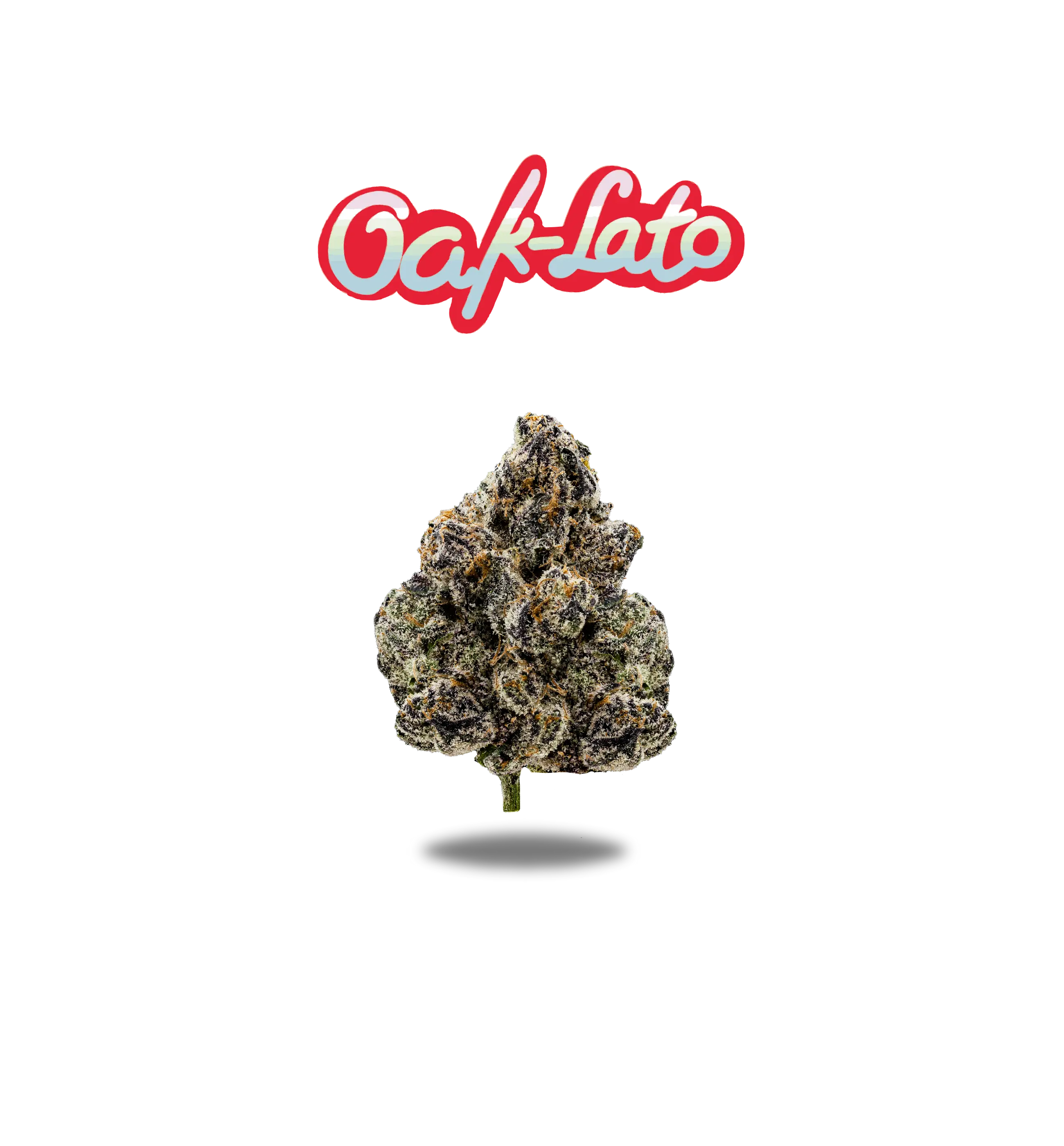 OAK-LATO PREMIUM FLOWER 3.5g - CORE SERIES Oakfruitland