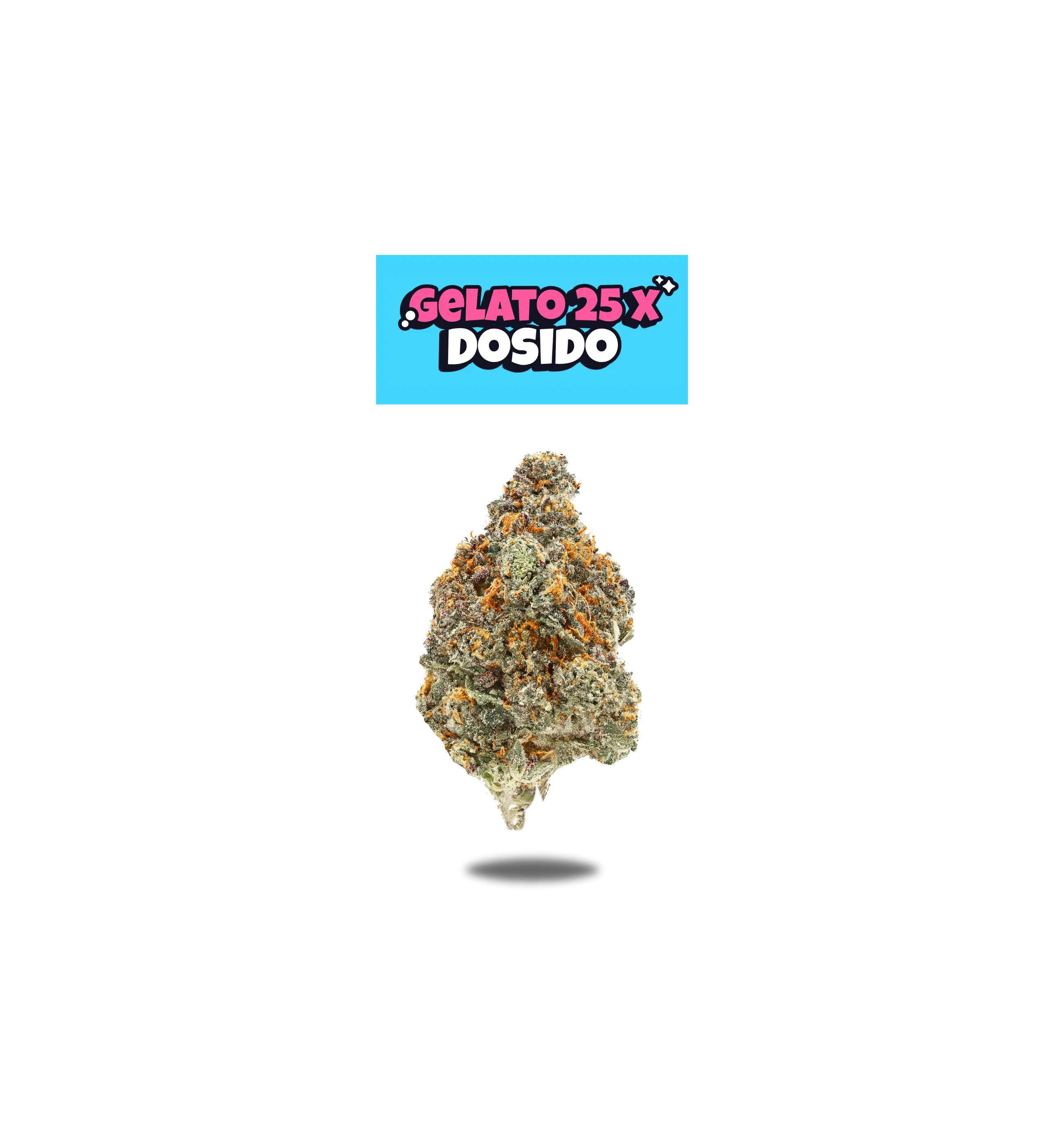 GELATO 25 X DOSIDO PREMIUM FLOWER 5g - NEON 5G SERIES  Oakfruitland