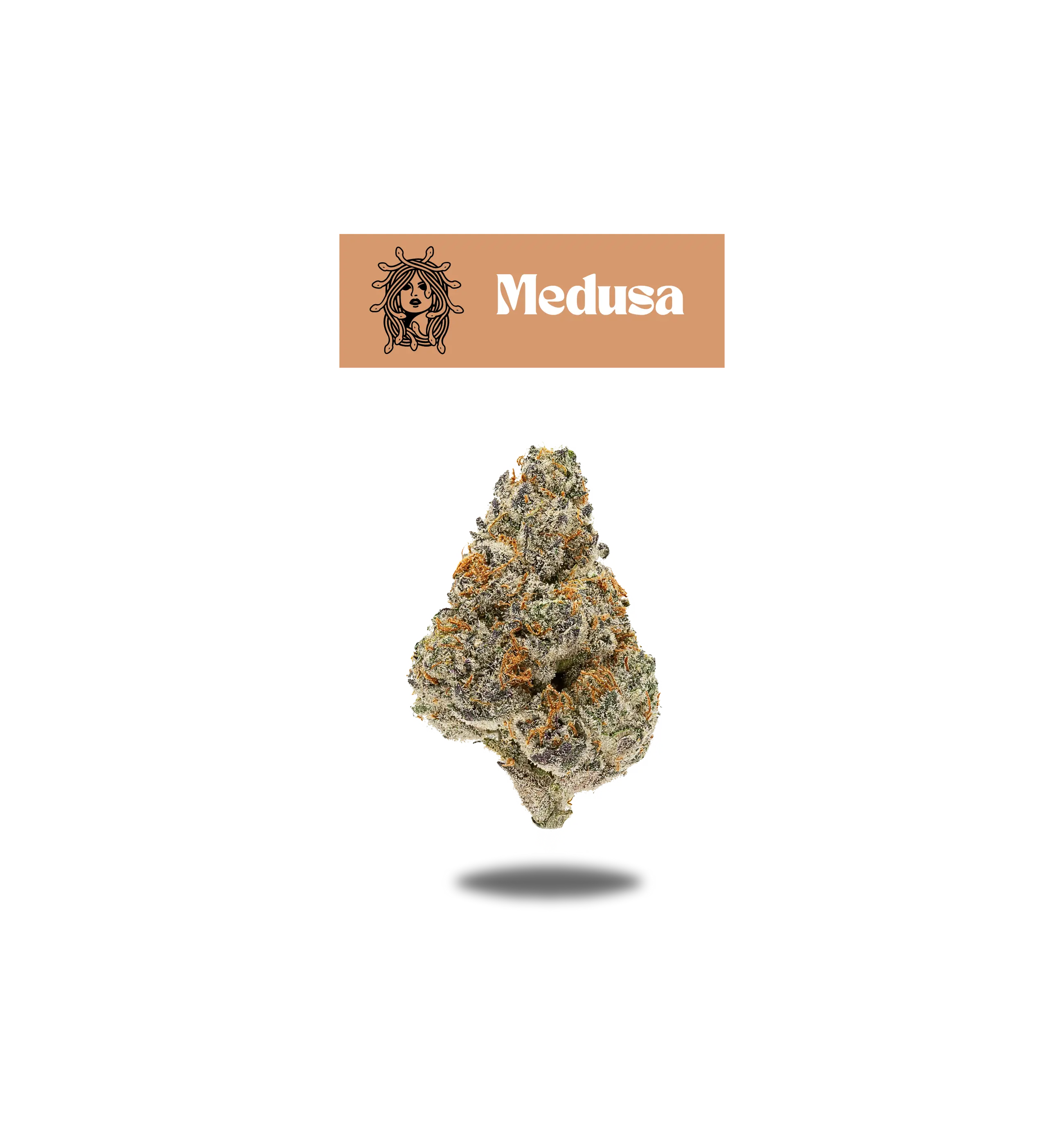 MEDUSA PREMIUM FLOWER 5g - NEON 5G SERIES  Oakfruitland