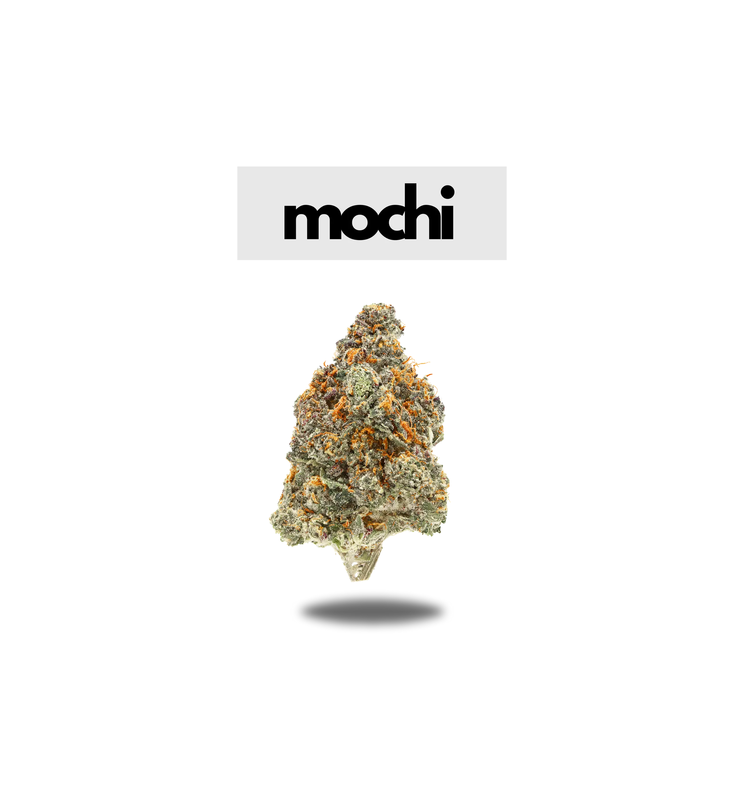 MOCHI PREMIUM FLOWER 5g - NEON 5G SERIES  Oakfruitland