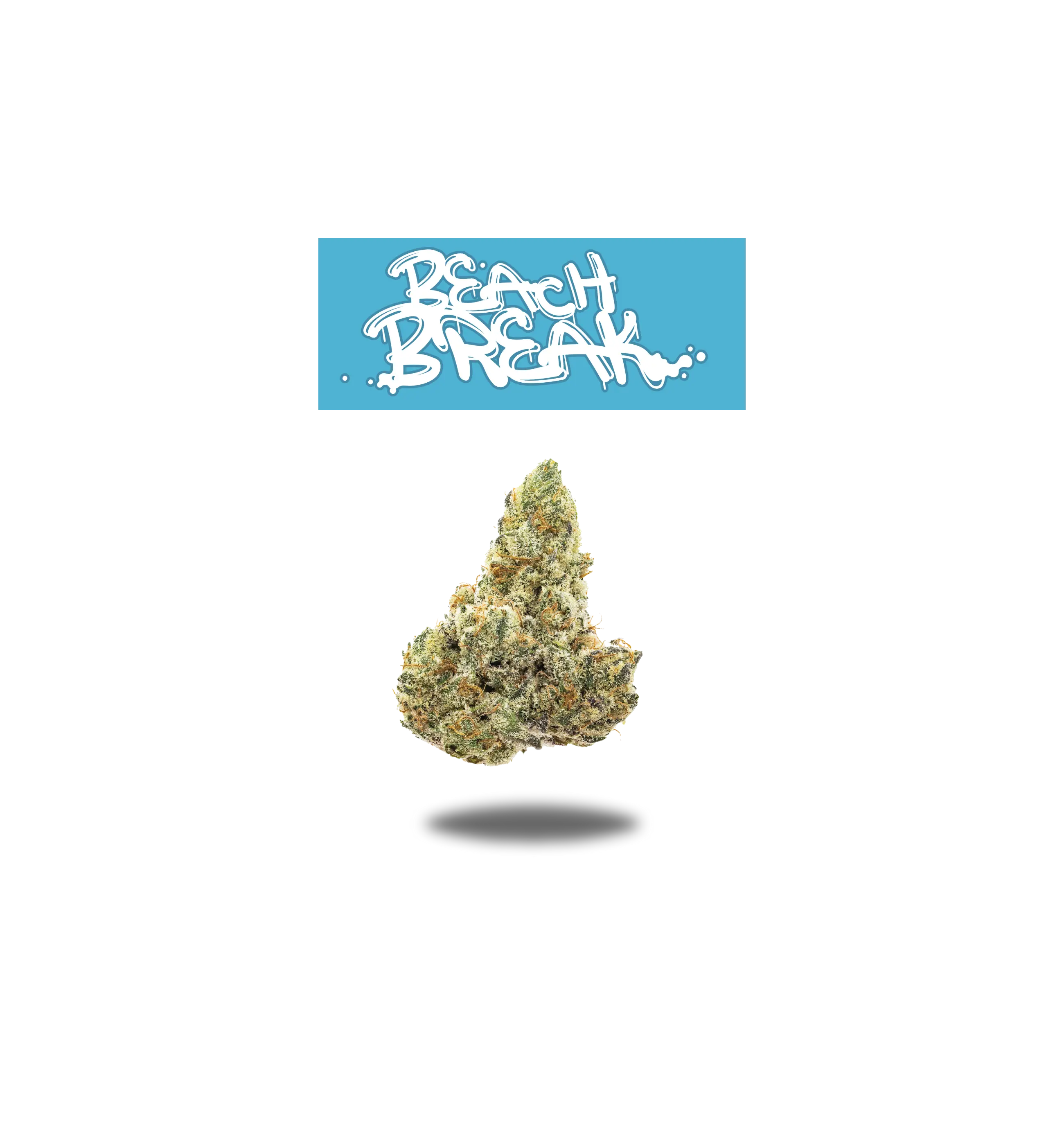 BEACH BREAK PREMIUM FLOWER 3.5g - DR.MOOON SERIES  Oakfruitland