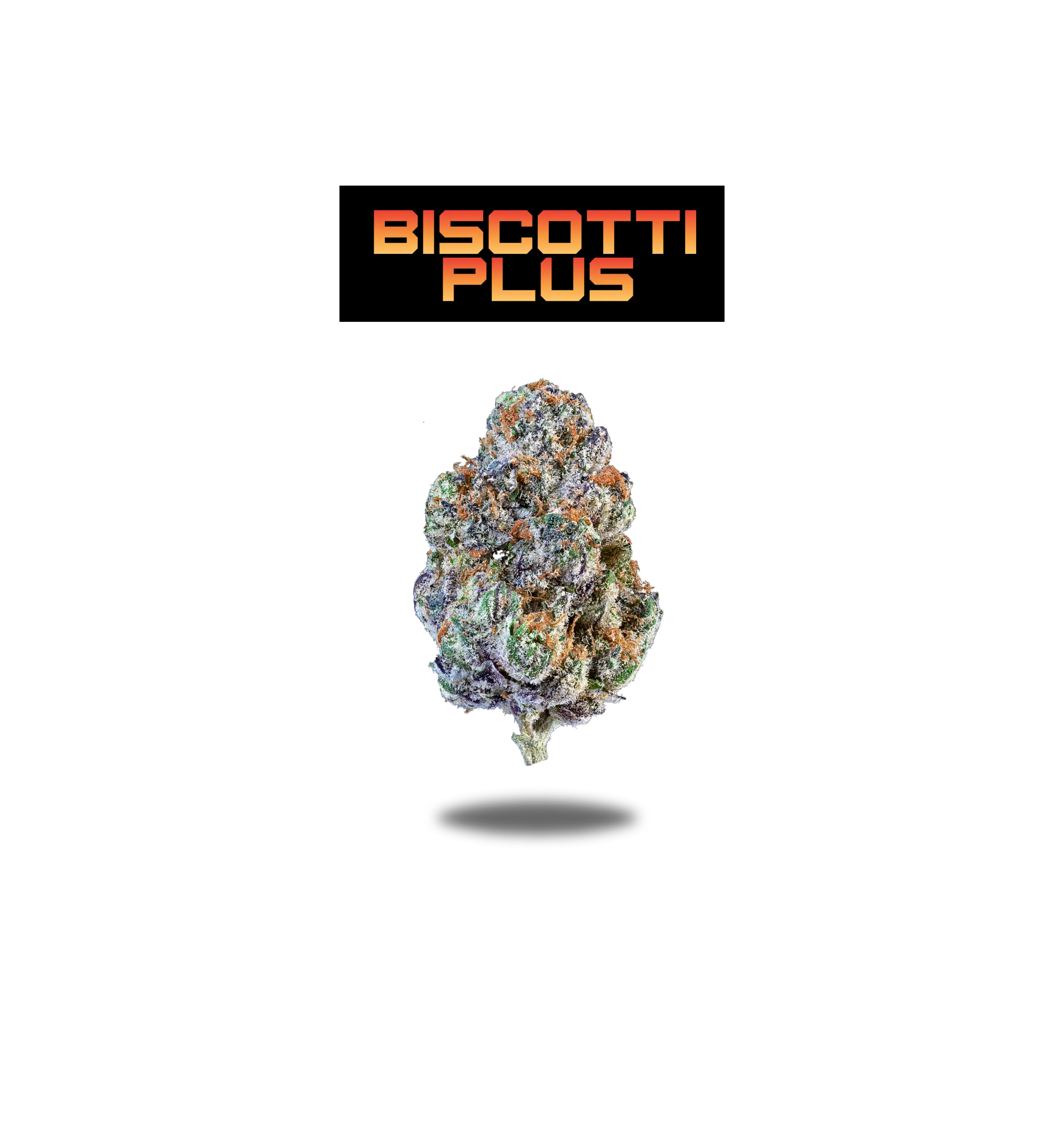 BISCOTTI PLUS PREMIUM FLOWER 3.5g - BLACK LABEL SERIES  Oakfruitland