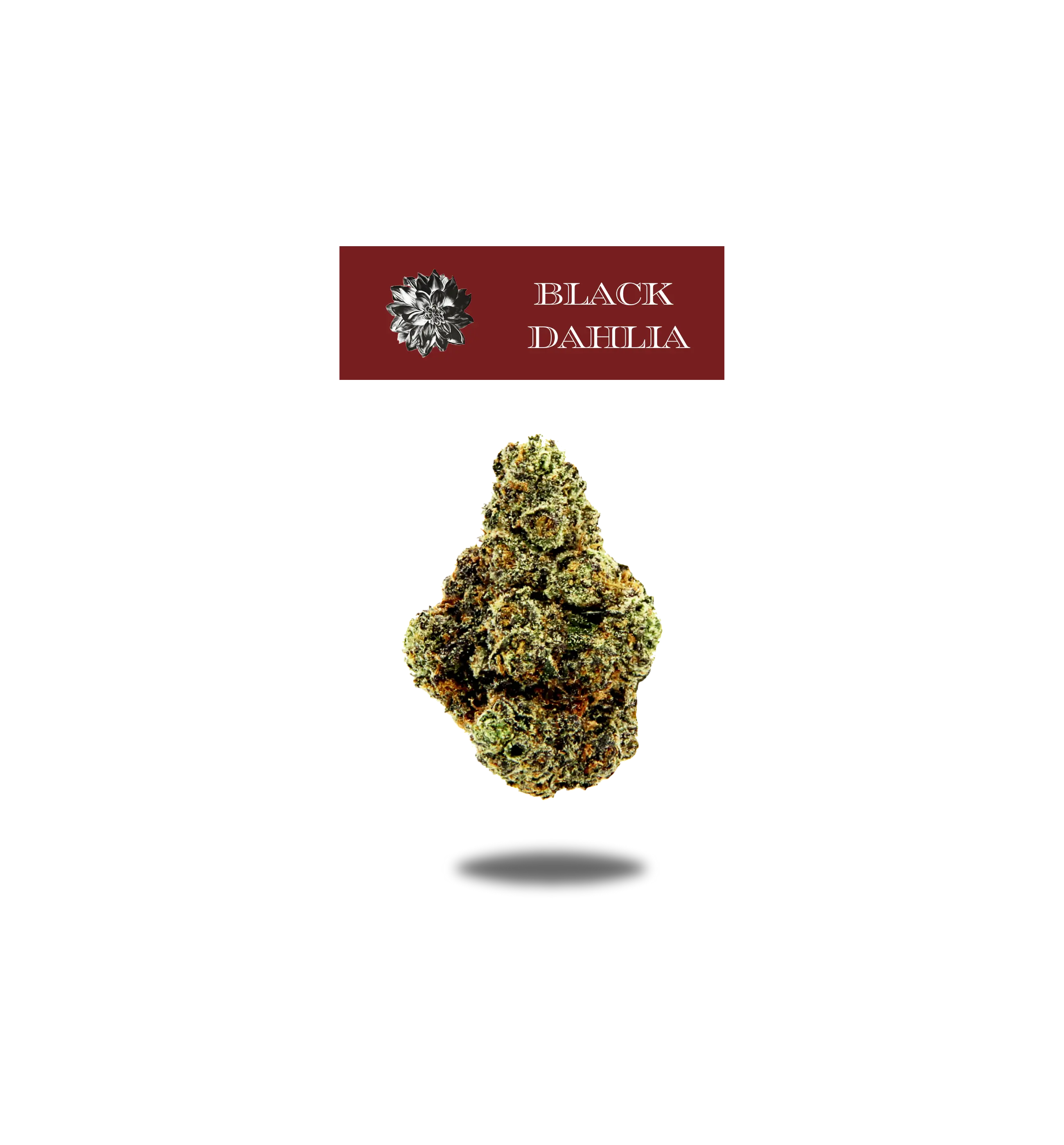 BLACK DAHLIA PREMIUM FLOWER 3.5g - BLACK LABEL SERIES  Oakfruitland