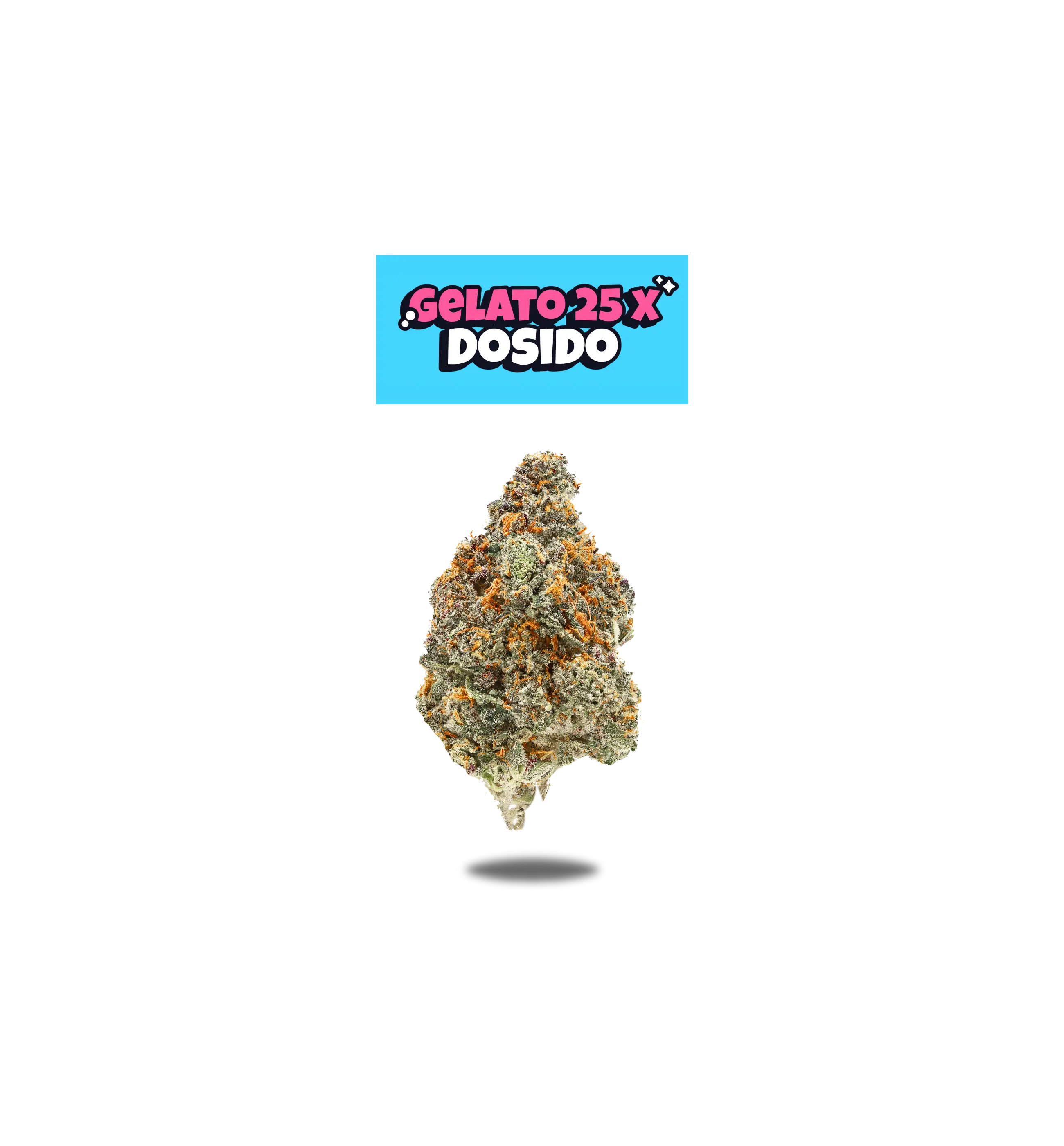 GELATO 25 X DOSIDO PREMIUM FLOWER 3.5g - BLACK LABEL SERIES  Oakfruitland