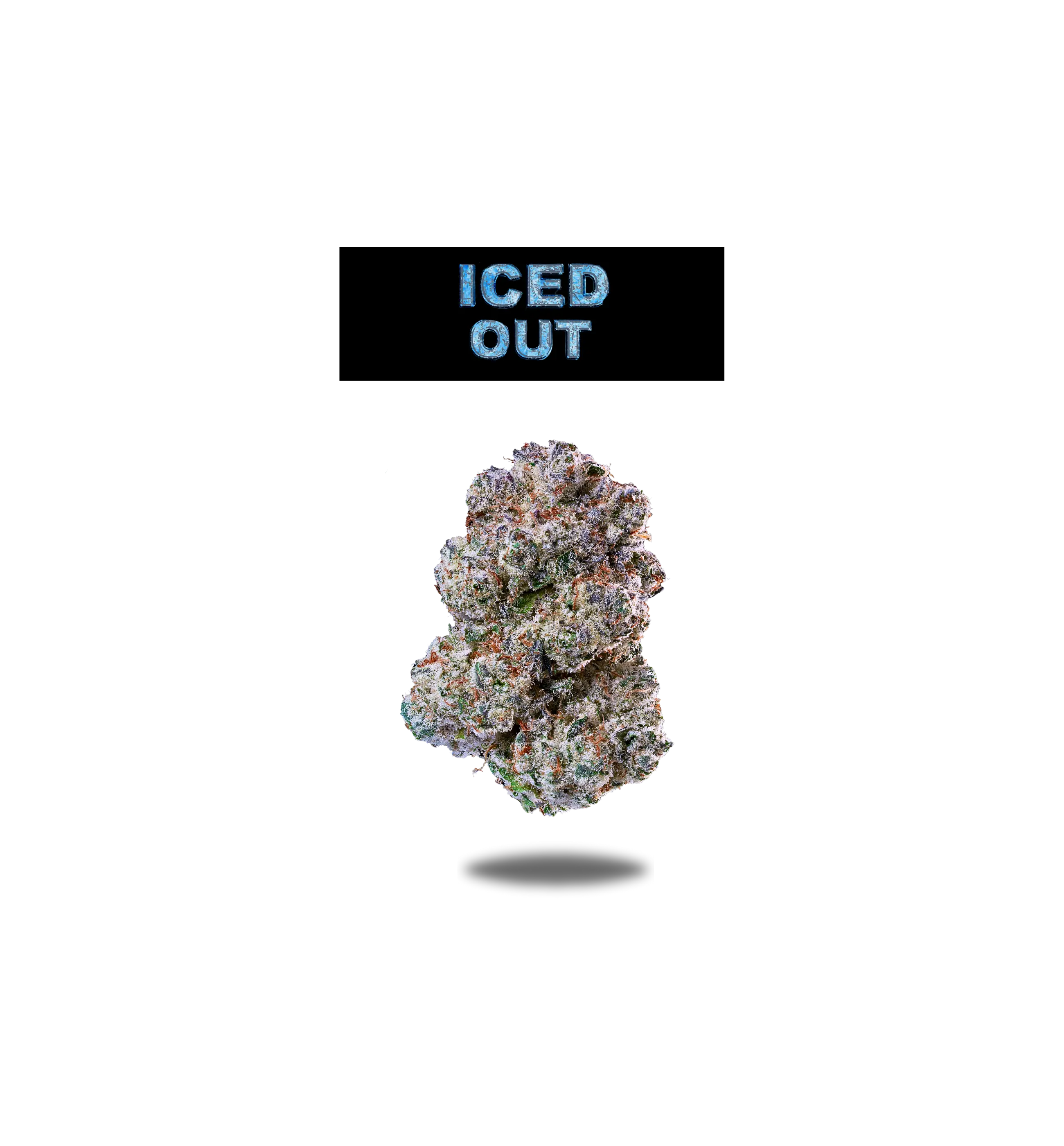 ICED OUT PREMIUM FLOWER 3.5g - BLACK LABEL SERIES  Oakfruitland