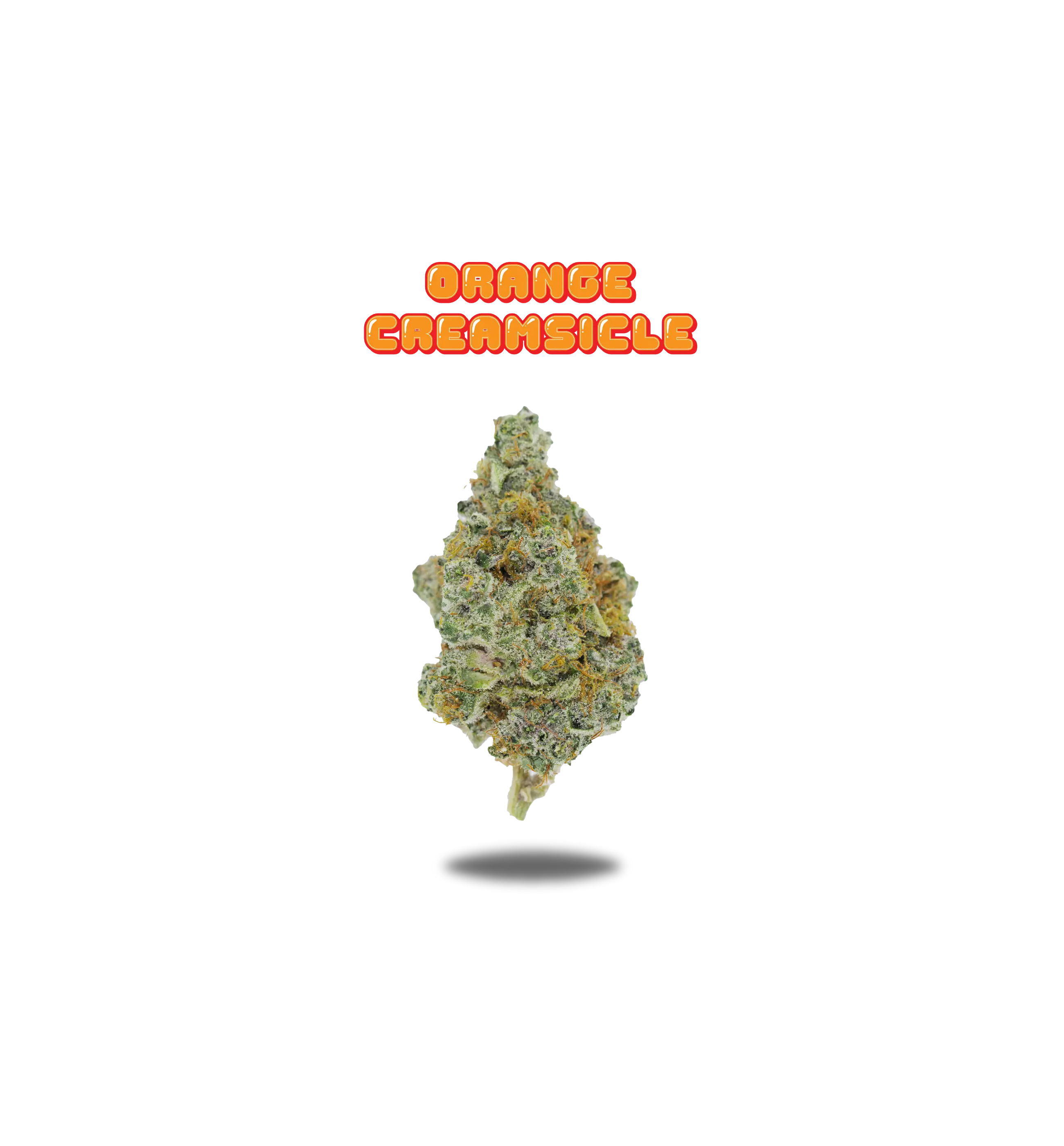 ORANGE CREAMSICLE PREMIUM FLOWER 3.5g - BLACK LABEL SERIES  Oakfruitland