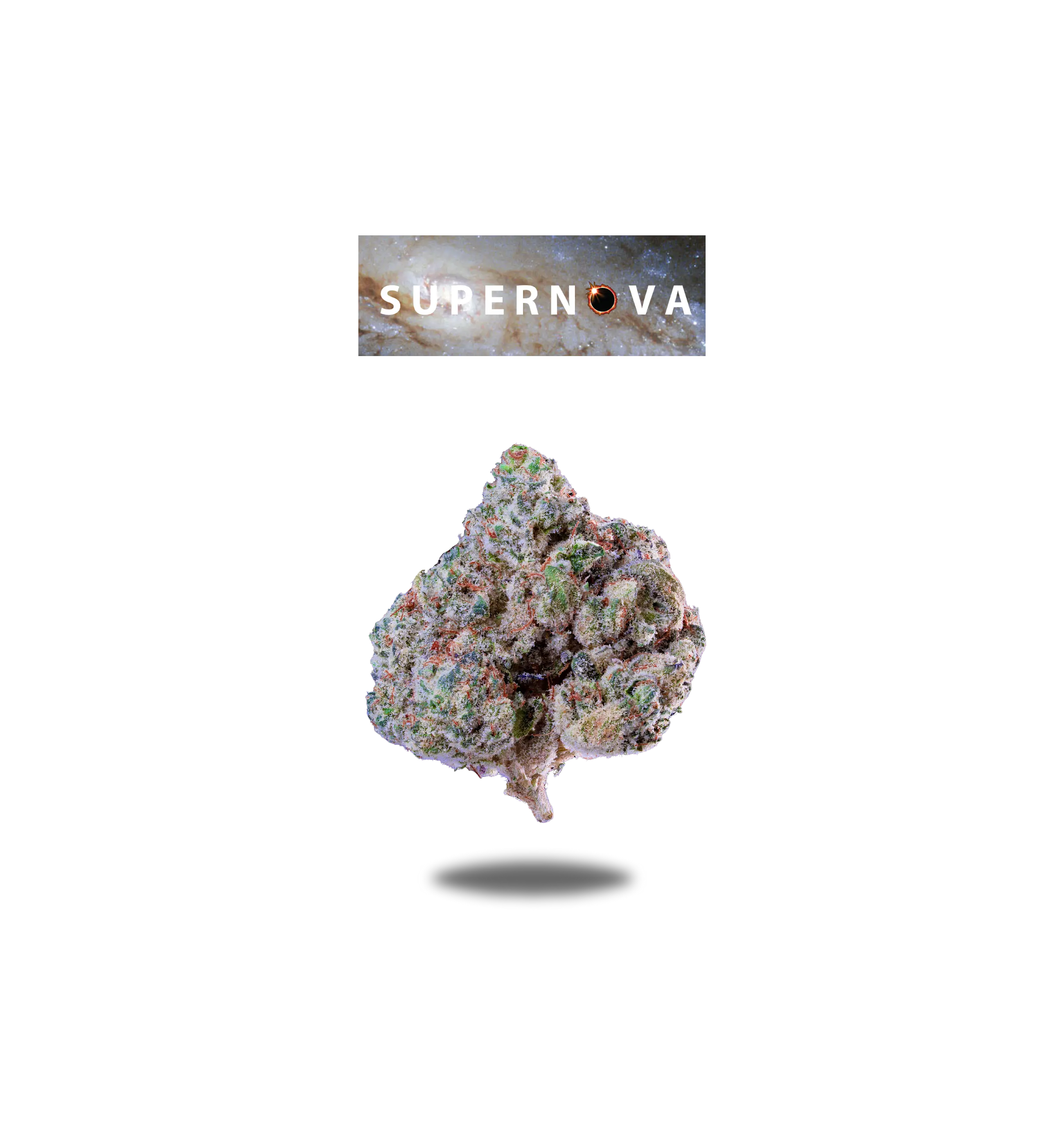 SUPERNOVA PREMIUM FLOWER 3.5g - BLACK LABEL SERIES  Oakfruitland