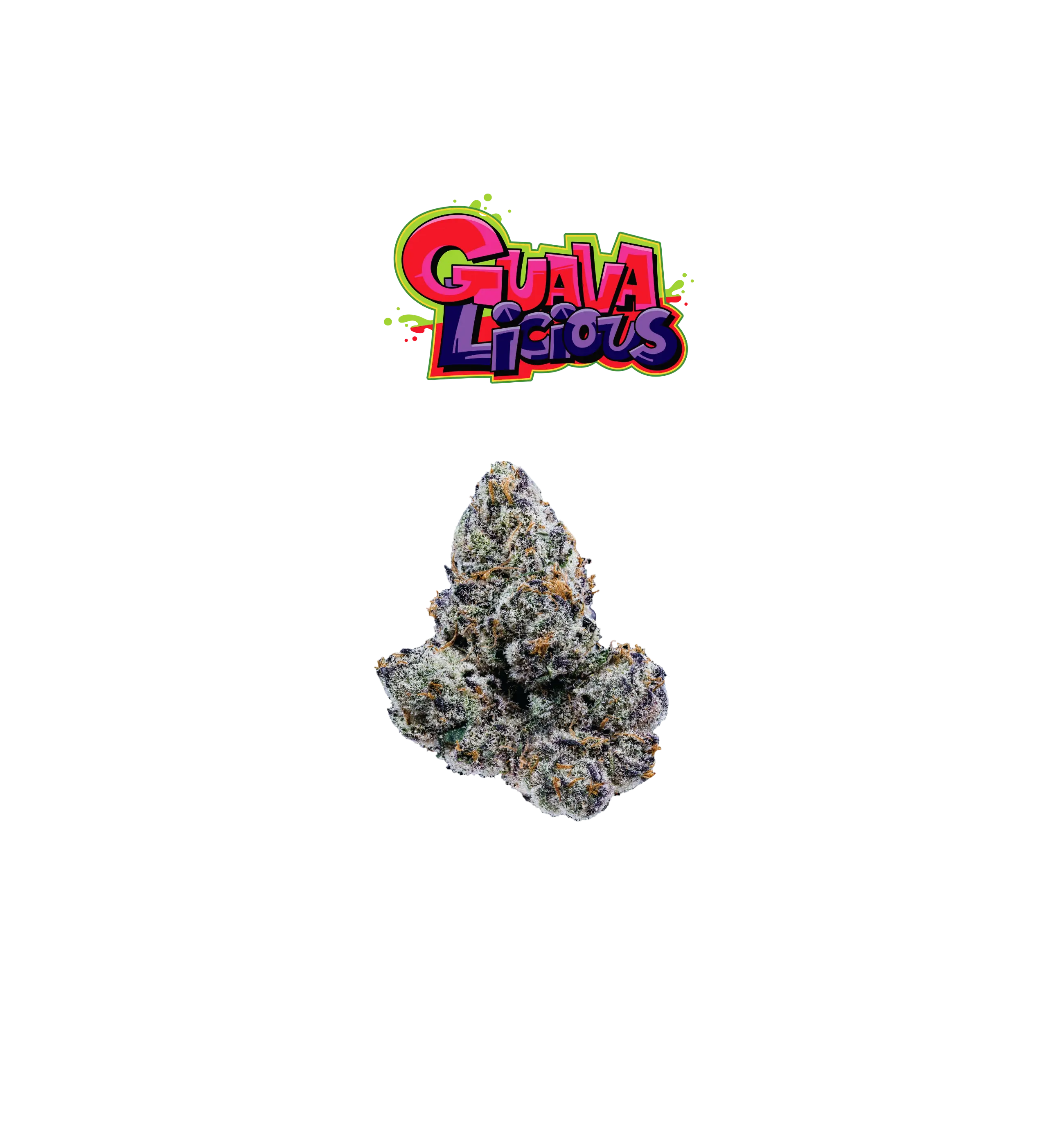 GUAVALICIOUS PREMIUM FLOWER 3.5g - CORE SERIES  Oakfruitland