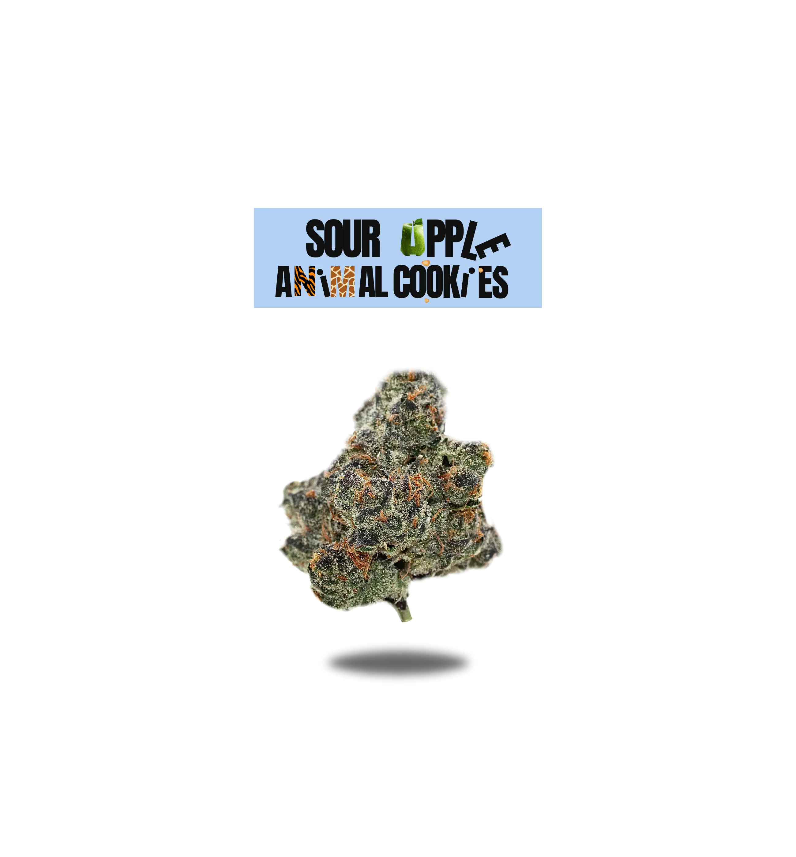 SOUR APPLE X ANIMAL COOKIES PREMIUM FLOWER 3.5g - BLACK LABEL SERIES  Oakfruitland